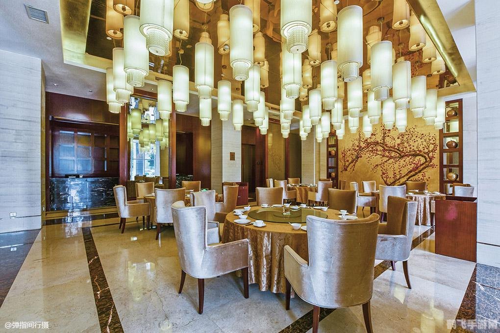 QQ最新版本探秘，游戏与社交的完美结合