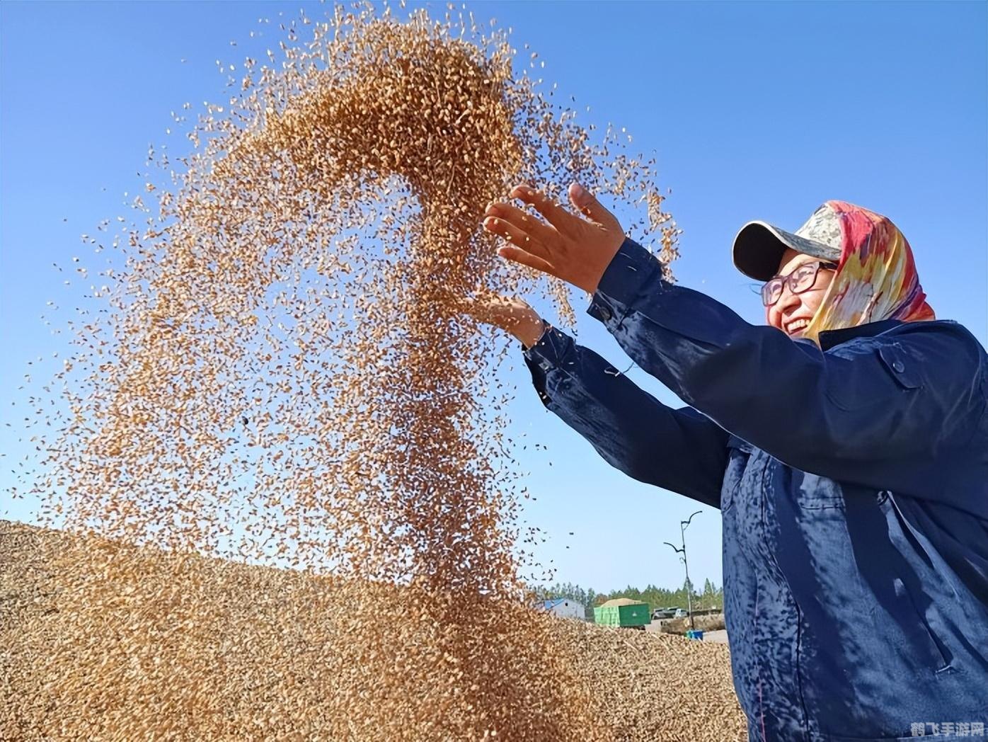 农牧场辅助,农牧场手游攻略,打造繁荣的农牧帝国