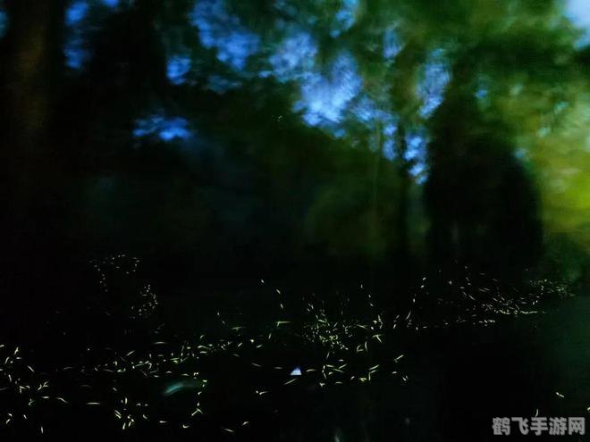 萤火虫之光，探索游戏中的神秘发光生物