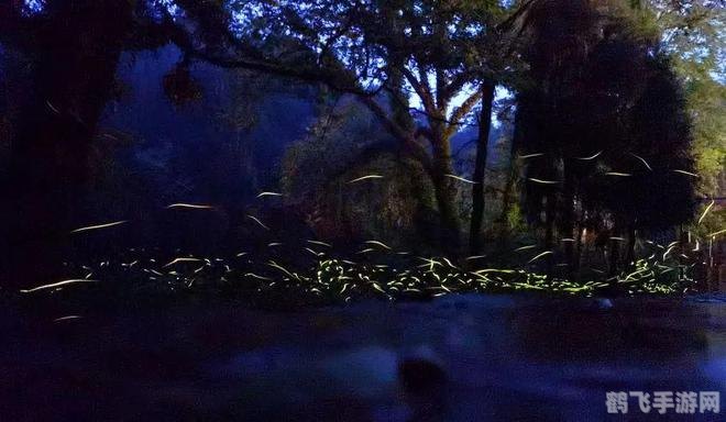 萤火虫之光，探索游戏中的神秘发光生物