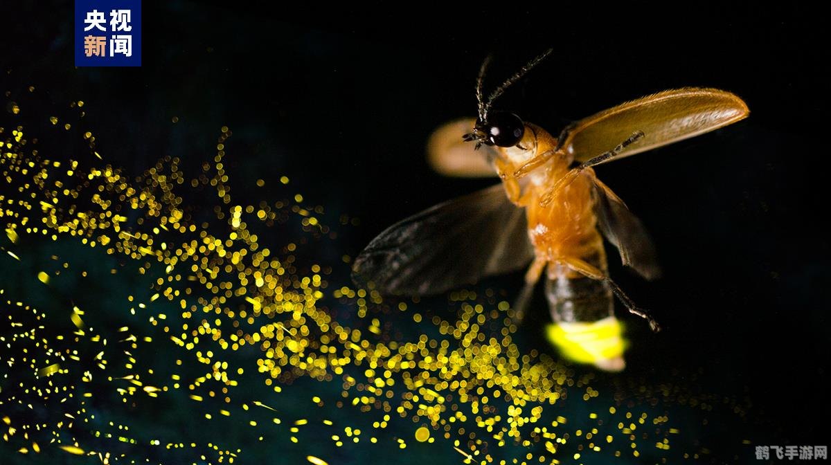 萤火虫之光，探索游戏中的神秘发光生物