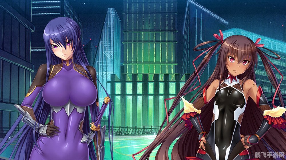 对魔忍雪风游戏攻略与深度解析