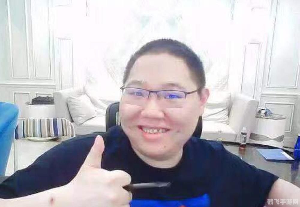 pdd 小智,手游大师教你玩转PDD小智,攻略与玩法详解