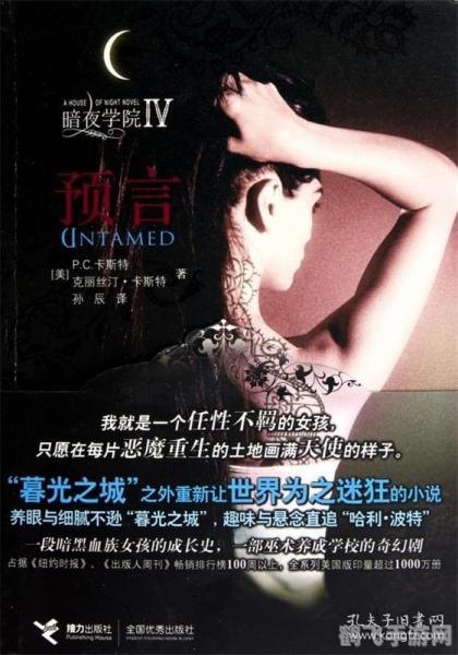 光之预言书,预言书之谜