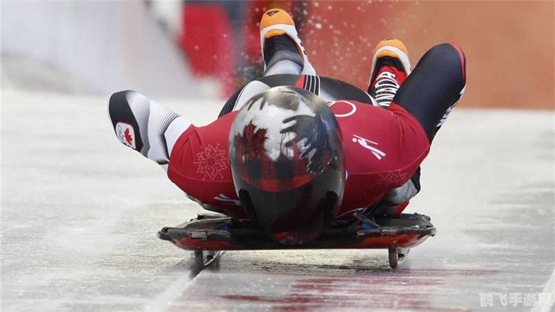 躺赢的运动项目,雪橇运动
