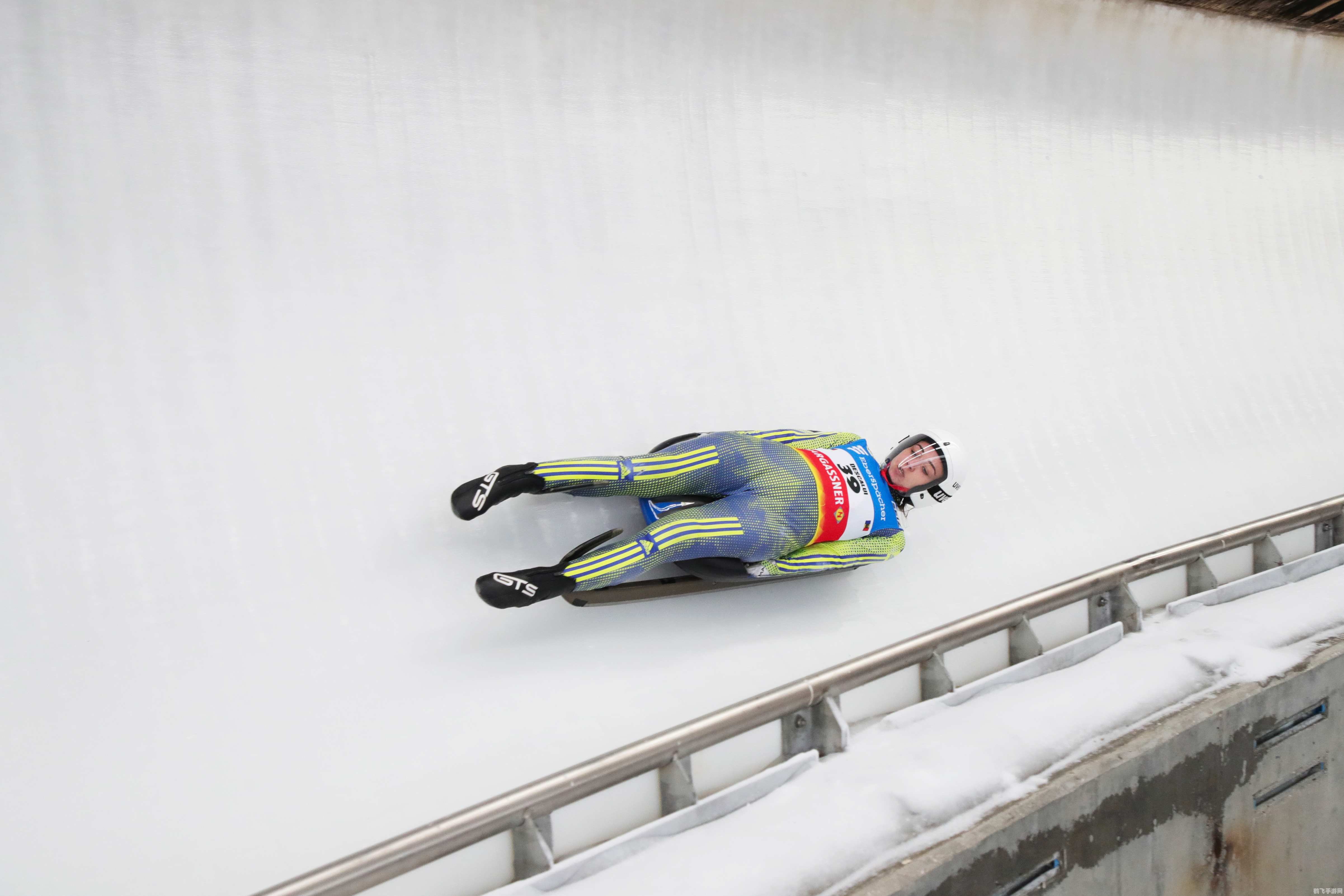 躺赢的运动项目,雪橇运动