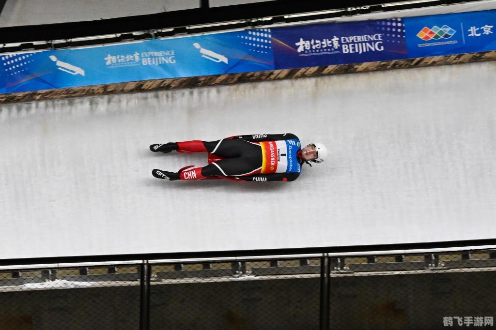 躺赢的运动项目,雪橇运动