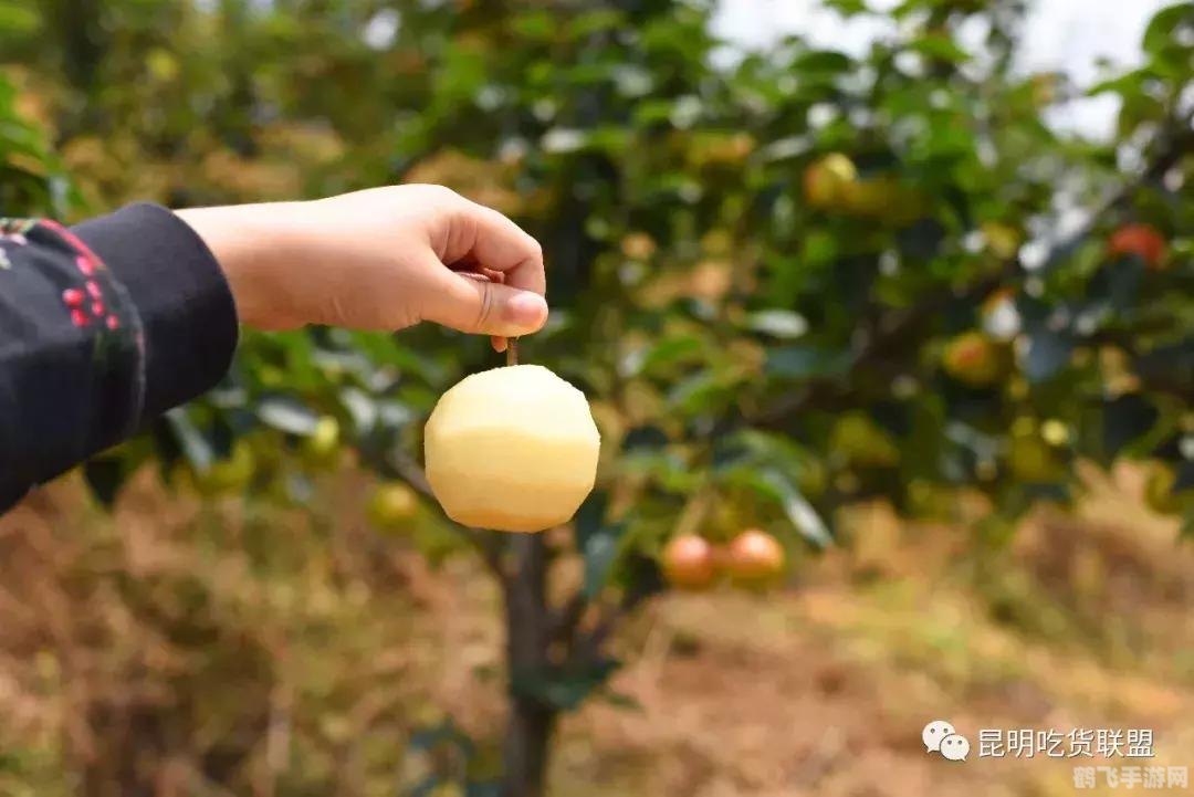 探索苹果梨糖心之谜,手游糖心果园攻略大全