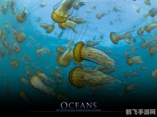 打孔巨匠的海洋生物,打孔巨匠,海洋生物探秘攻略