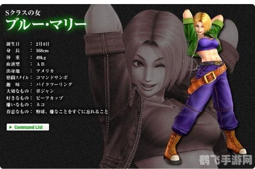 拳皇玛丽h,拳皇玛丽h手游攻略,打造你的格斗传奇