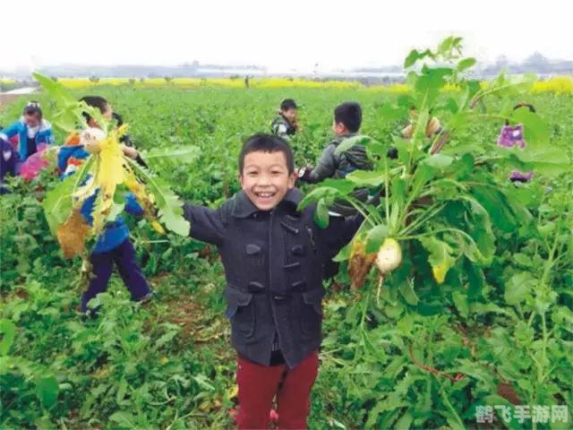 qq农场助手,QQ农场助手,轻松管理你的虚拟农场