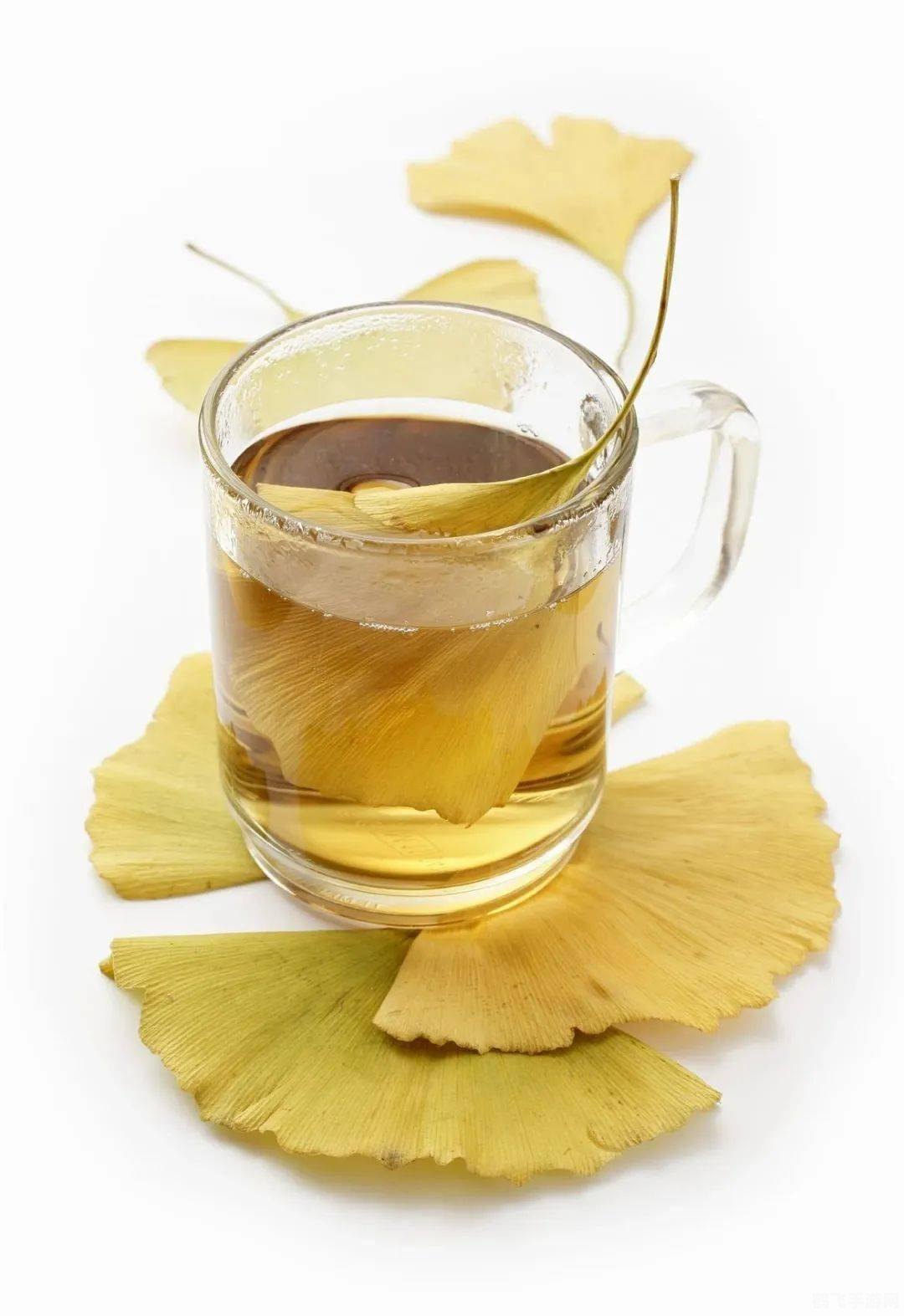 新鲜银杏叶泡水喝并不能降血压