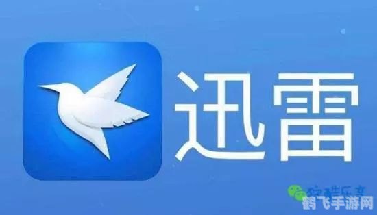 迅雷会员号共享,迅雷会员账号共享新玩法,游戏下载提速攻略