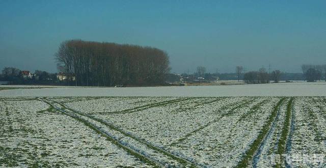 下雪对农事之益,雪中蕴藏的丰收秘诀