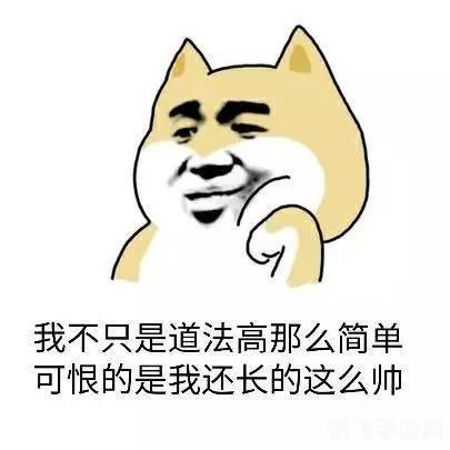 带辫子的表情怎么弄,手游攻略,轻松打造带辫子的趣味表情