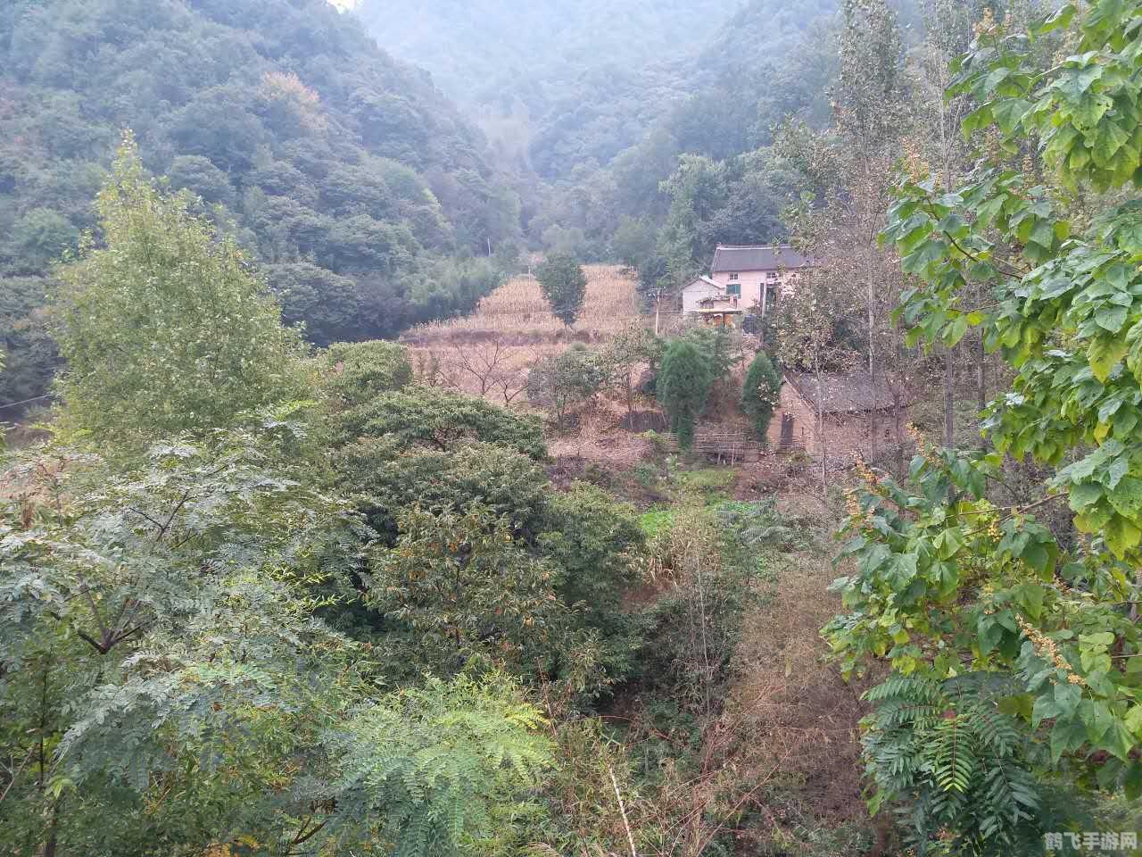 怪兽仙境金手指,怪兽仙境金手指攻略,打造你的怪兽霸主之路 怪兽仙境金手指,怪兽仙境金手指攻略,打造你的怪兽霸主之路