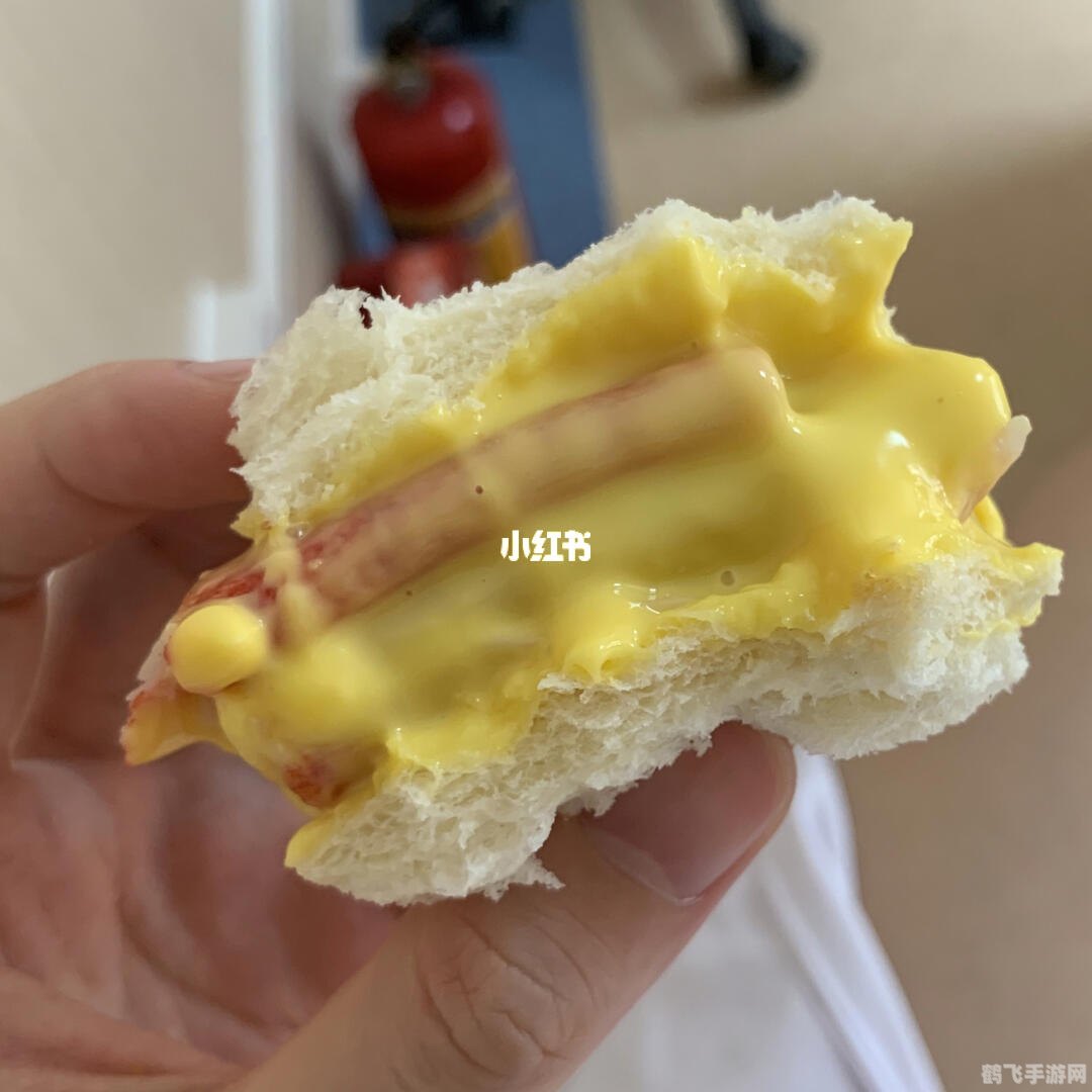 深入解析网络热梗两面包夹芝士