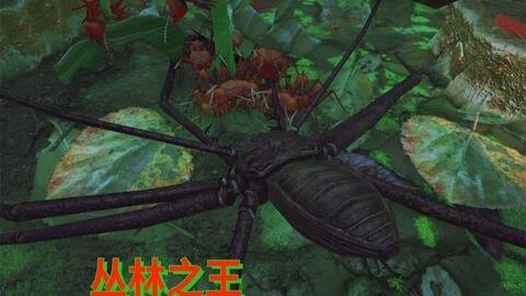 蜘蛛山之王攻略,征服巨蛛的领地