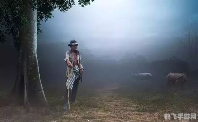 天堂的信徒,天堂的信徒神秘天堂之旅，信徒探险揭秘