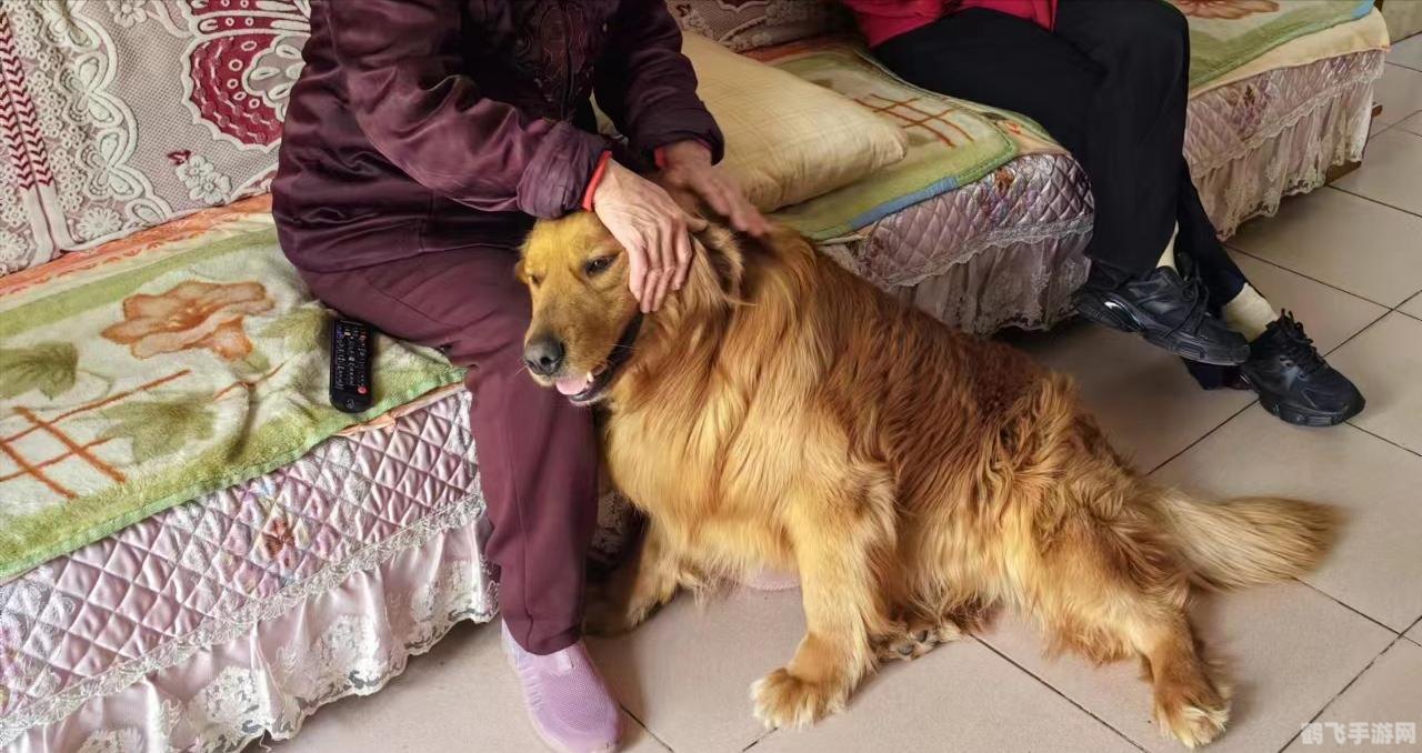 三只小羊回家,三只小羊回家手游攻略,如何安全引领小羊踏上归途