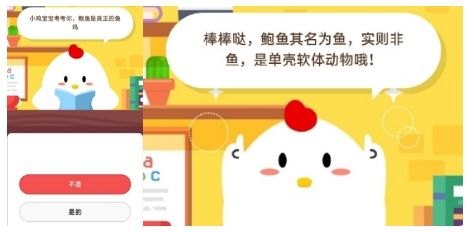 庄园小课堂今天答案最新,庄园小课堂今日答案揭晓，轻松攻略游戏难关！