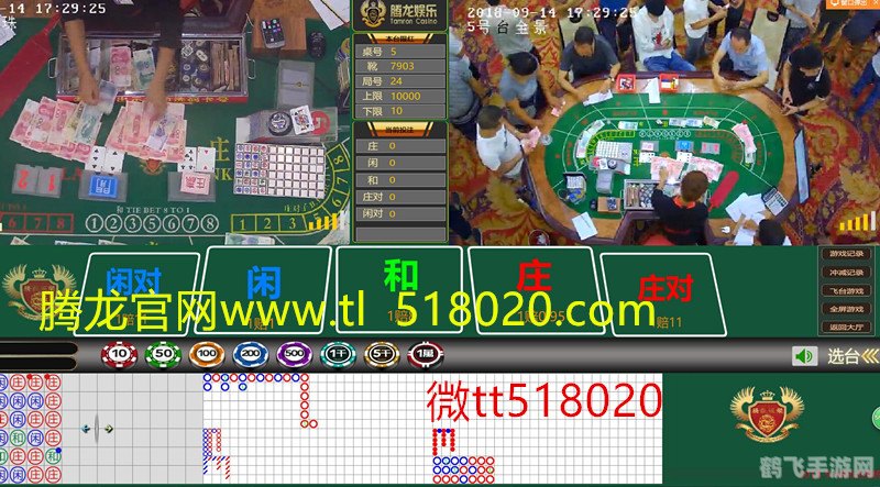 客家腾龙游戏手游攻略,腾龙之旅的必胜法则