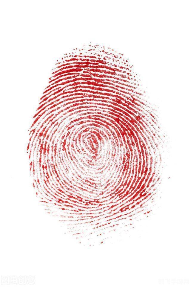 拥有和人类相似的指纹,神秘指纹岛,探索与人类相似指纹的奇幻世界