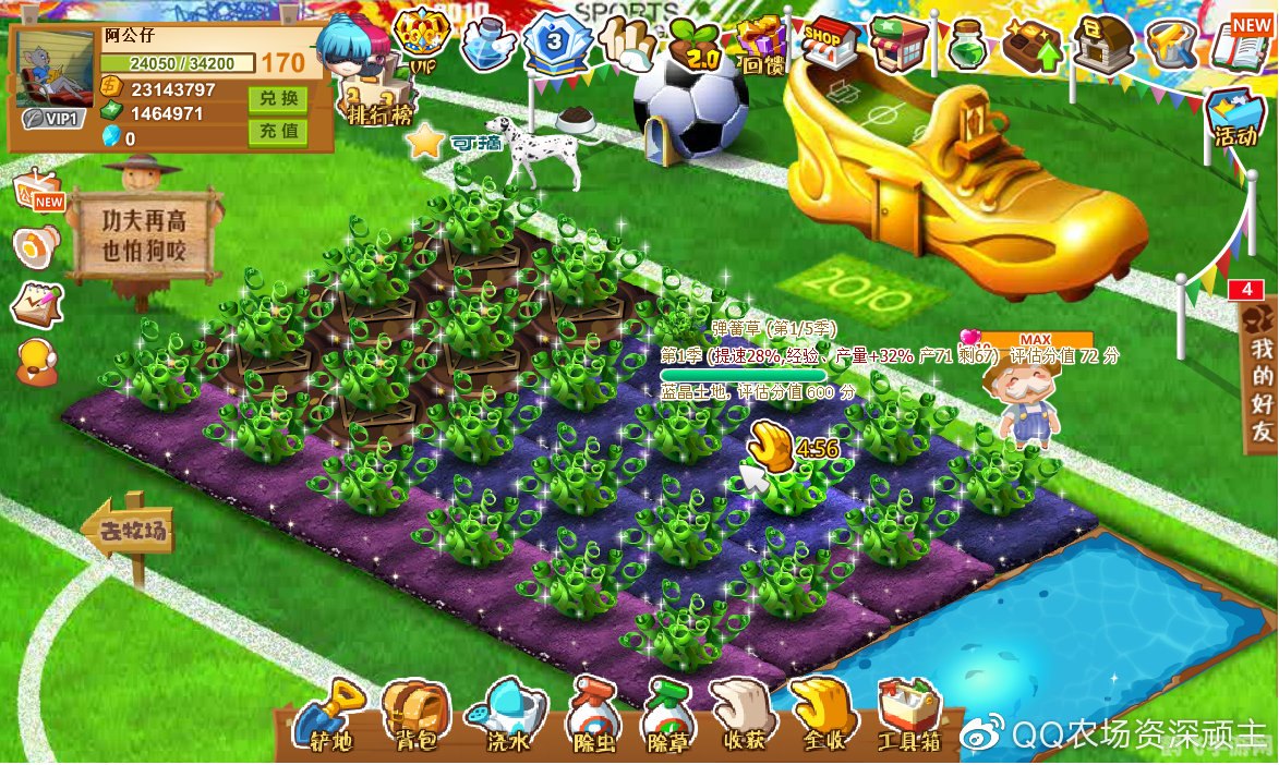 QQ农场赚钱秘籍,快速致富攻略