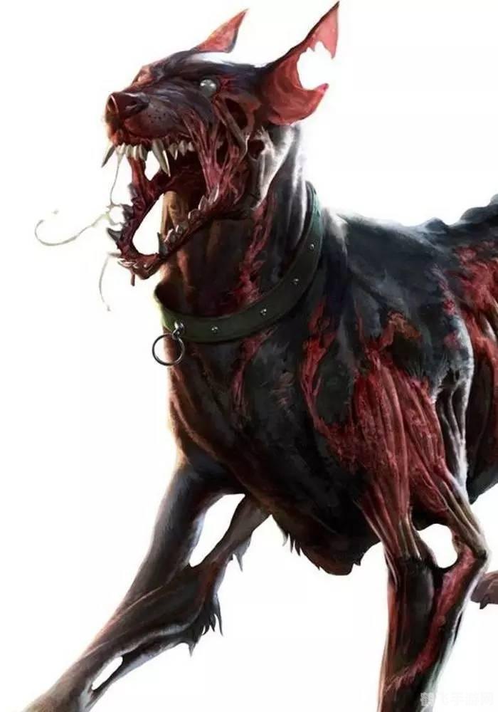 生化危机5修改器怎么用,生化危机5修改器使用指南,轻松掌控游戏,体验无限可能!