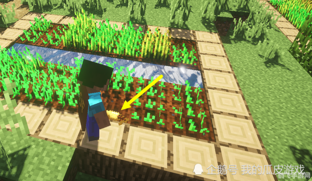 我的世界村庄生存攻略，打造繁荣的村落