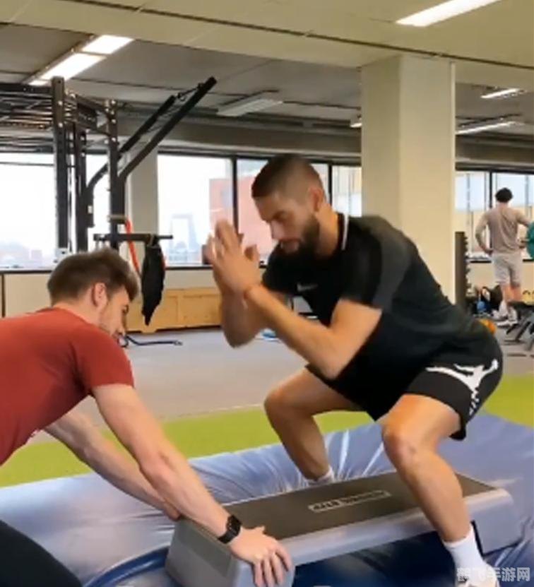 赛尔号猛虎王手游攻略，如何成为顶级猛虎训练师