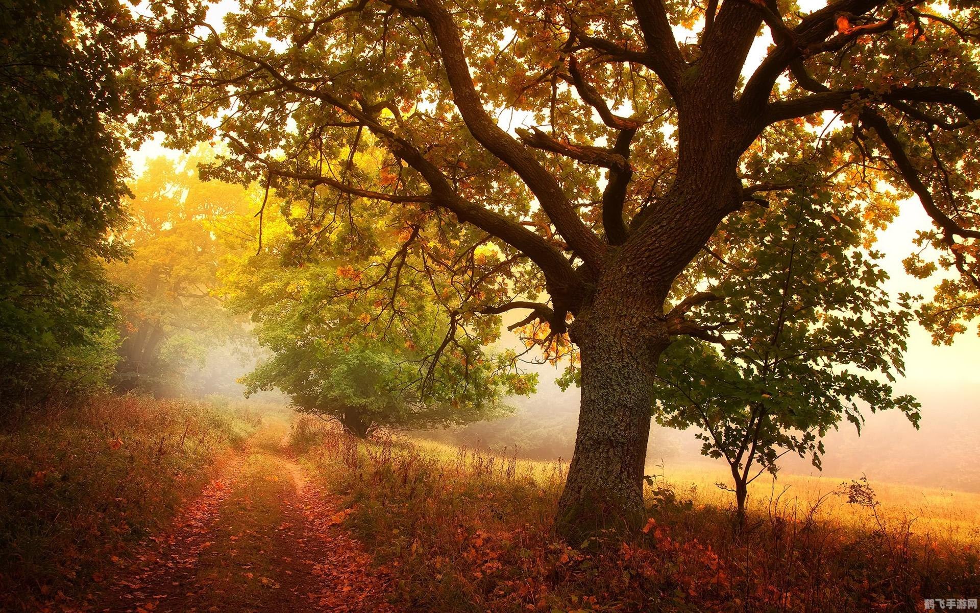 手机游戏推荐探索未知世界,这些手游你不得不试!