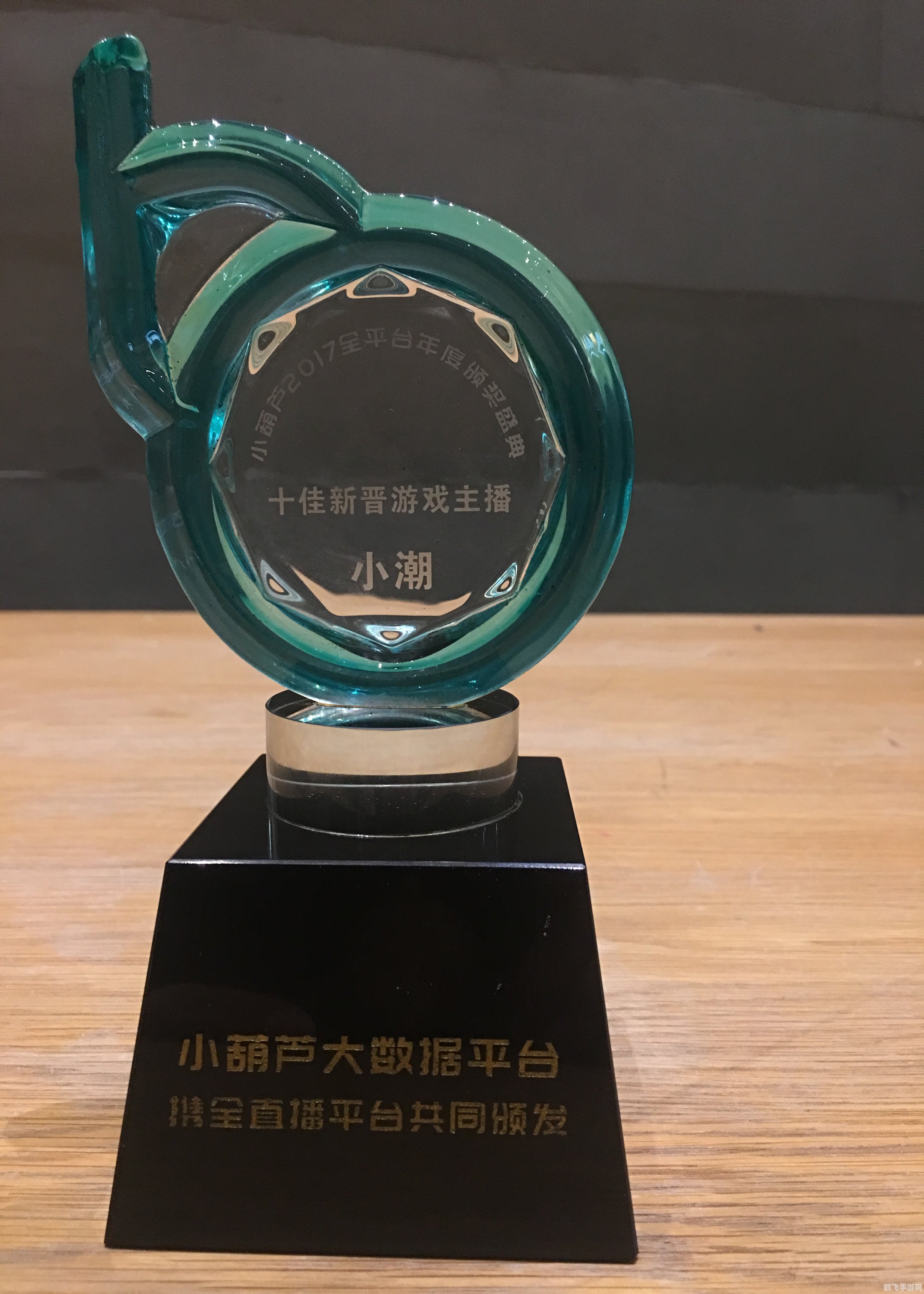 小葫芦盛典,小葫芦盛典