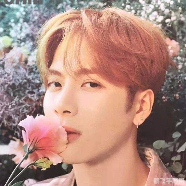 全明星头像,全明星头像手游攻略,如何收集与升级你的明星头像