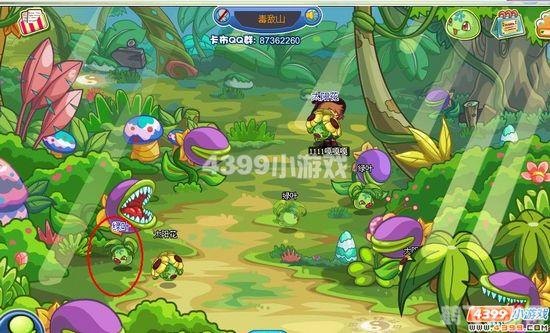 卡布西游赤炎鸟手游攻略,如何驯服炽热的赤炎鸟