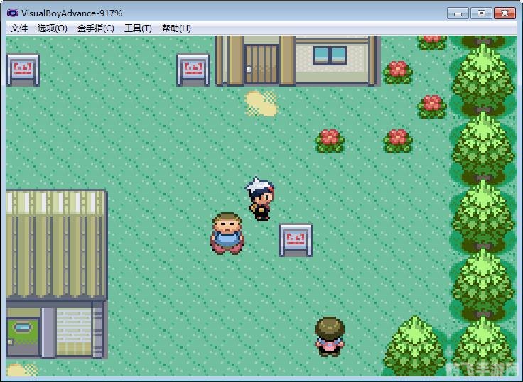 口袋妖怪红宝石386,口袋妖怪红宝石386