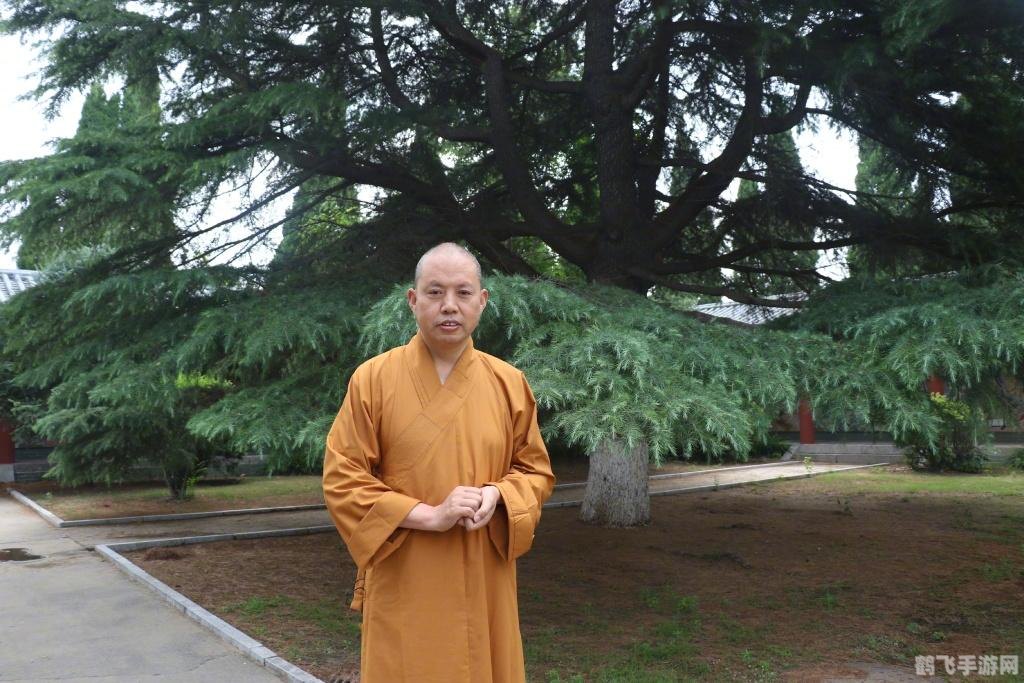 4.3法师,4.3版本法师全面解析与攻略