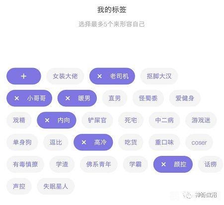 小姐姐app回家地址,小姐姐APP