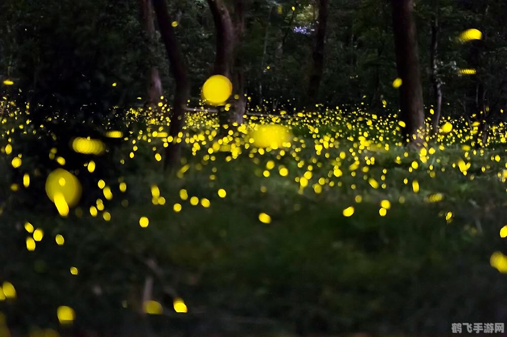 照夜清是萤火虫吗,揭秘照夜清，萤火虫与手游攻略的双重魅力