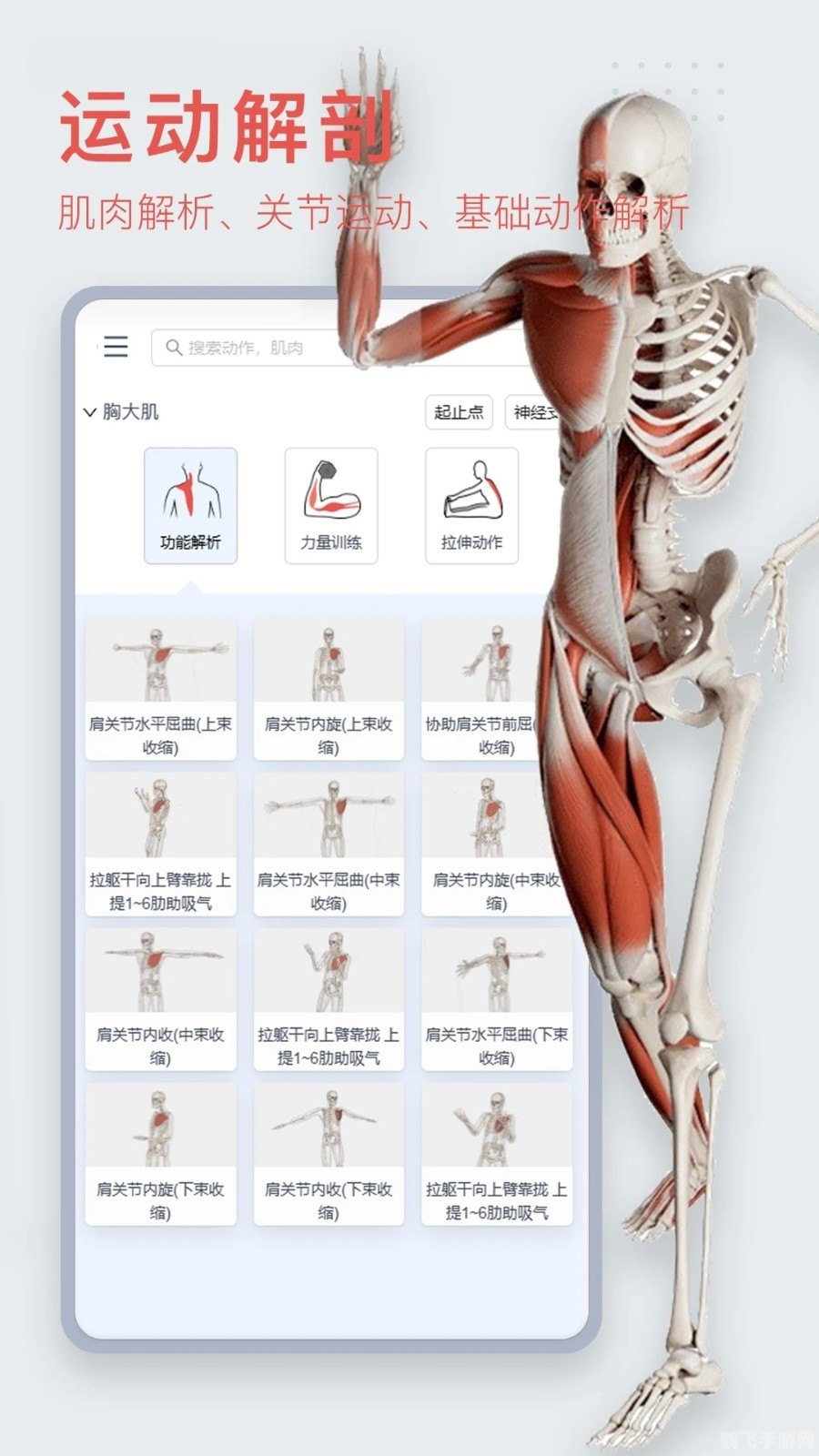 3Dbody解剖手游，探索人体奥秘的全新方式