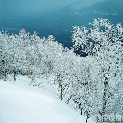 冬季雪封草地,冬季雪封草地