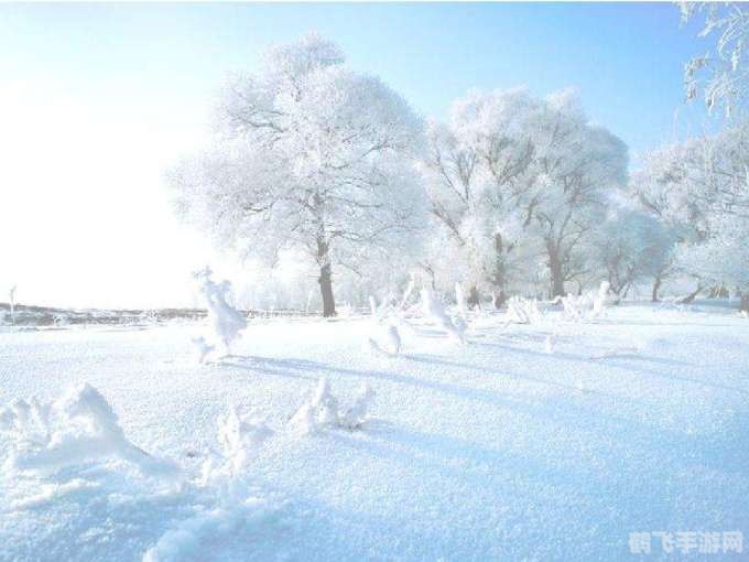 冬季雪封草地,冬季雪封草地