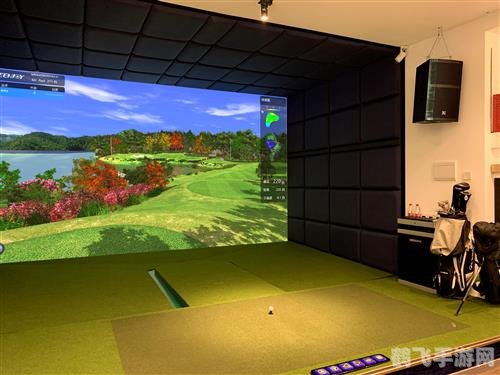 高尔夫模拟器,高尔夫模拟器手游攻略，掌握技巧，成为球场上的佼佼者