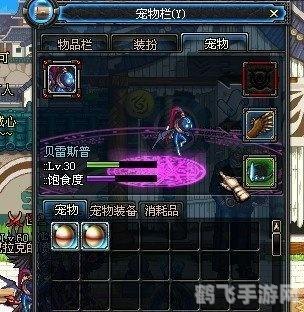 贝鲁斯兰要塞的崩溃危机,贝鲁斯兰要塞崩溃危机应对攻略,手游玩家的必备指南