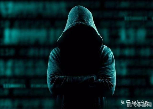 黑客狙击手攻略，成为顶尖黑客的秘密武器