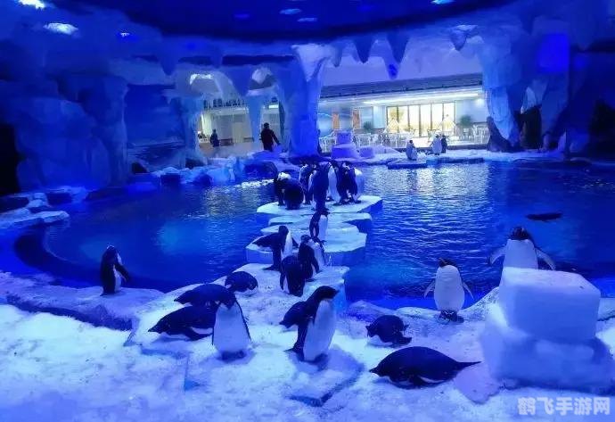 安卓手机主题软件，打造个性化手机界面的利器