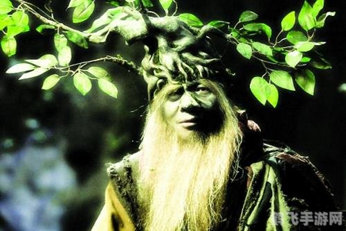树精长老的叶子探秘与攻略