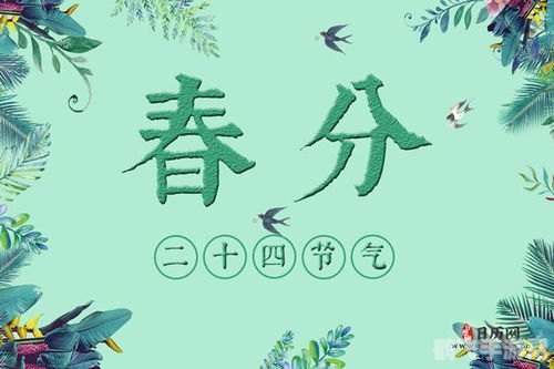 春分当日流传了哪个颇有意味,春分时节手游新玩法,体验传统节气与虚拟世界的交融