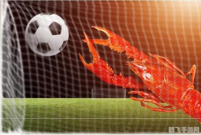 小龙虾心脏长在什么位置,揭秘小龙虾的心脏之谜,它究竟藏身何处?