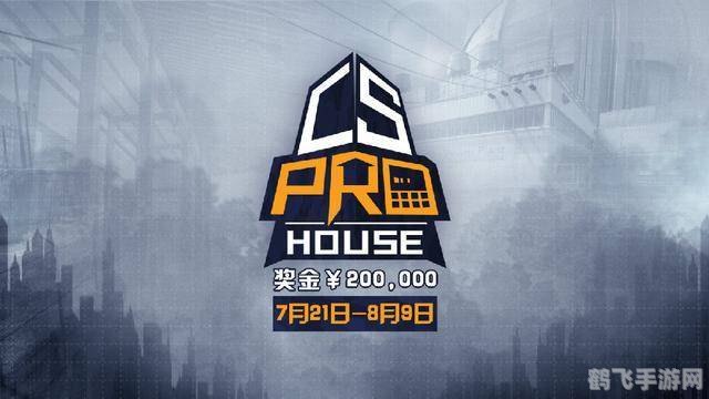 Greedy战队全面解析,战术、选手与赛事热点